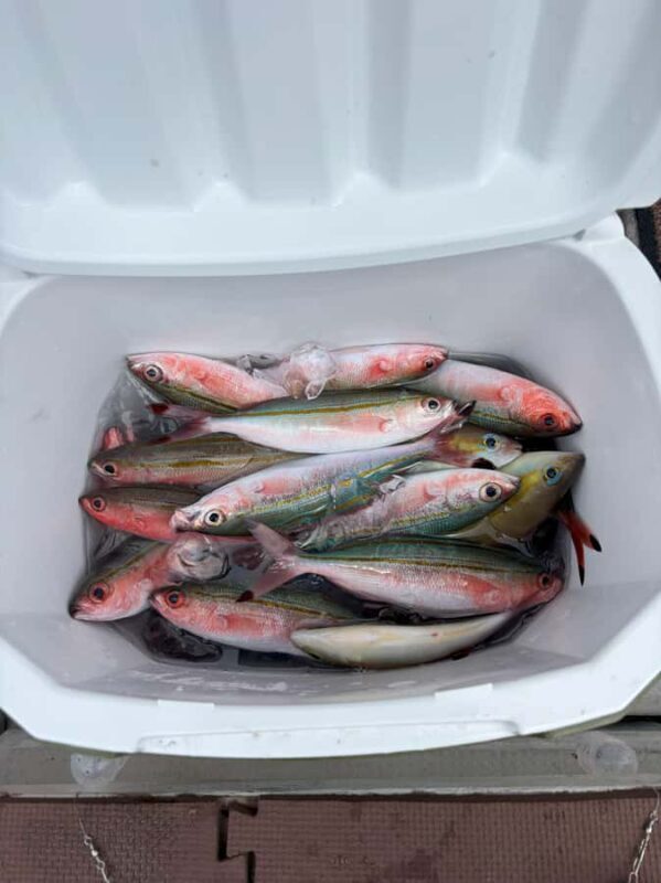 Okinawa: Half-Day Fishing Trip with Local Fisherman - FAQ