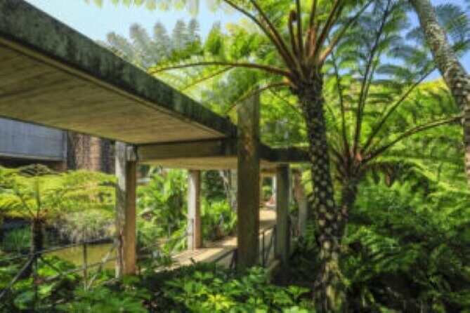 Okinawa Hip-hop Bus B - 2 Course Tour (Okinawa Churaumi Aquarium) - Final Thoughts