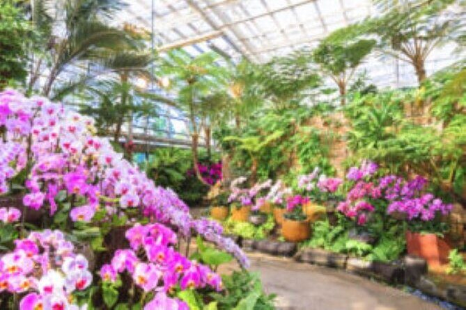 Okinawa Hip-hop Bus B - 2 Course Tour (Okinawa Churaumi Aquarium) - FAQ