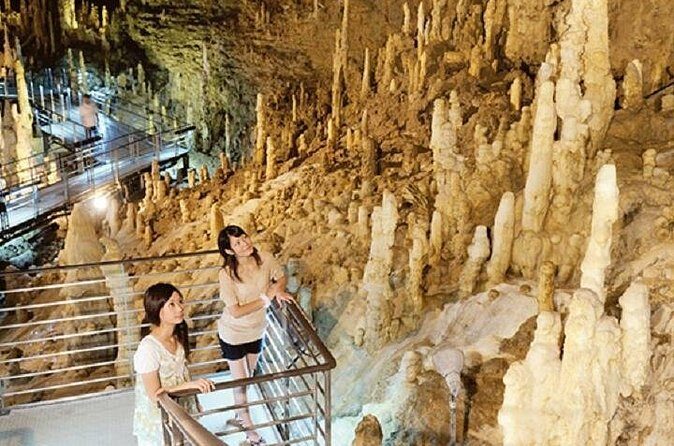 Okinawa Hip-hop Bus D Course Tour to Southern Island - Who Is This Tour Best For?