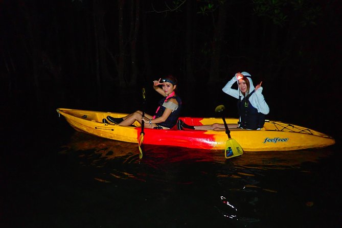 [Okinawa Iriomote] Night SUP/Canoe Tour in Iriomote Island - Night SUP/Canoe Tour Overview
