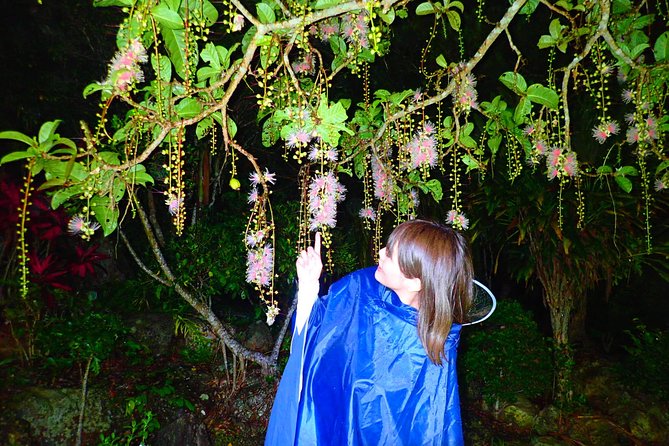 [Okinawa Iriomote] Sagaribana Watching Tour (Limited From June to August) - Common Questions