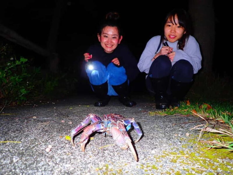 Okinawa Iriomotejima Night Adventure Tour - Final Thoughts