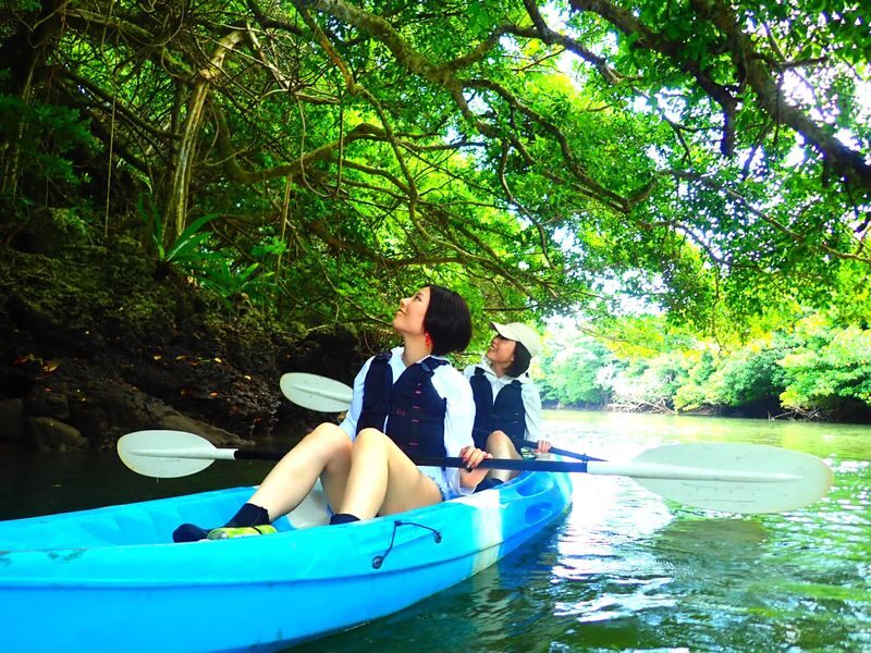 Okinawa Ishigaki Island Mangrove Forest Half-day Tour (SUP/Canoe) - A river trip, not a beach excursion
