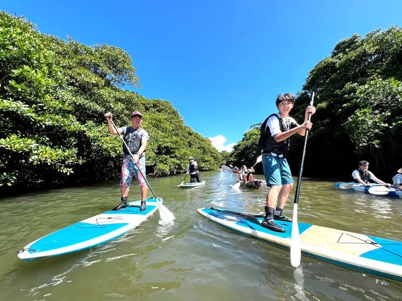 Okinawa Ishigaki Island Mangrove Forest Half-day Tour (SUP/Canoe) - What the guide adds to the outing