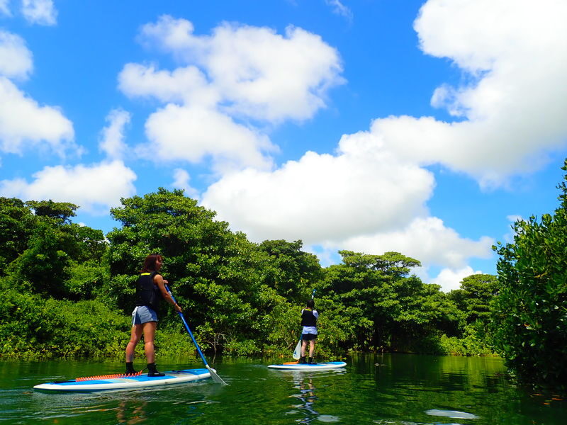 Okinawa Ishigaki Island Mangrove Forest Half-day Tour (SUP/Canoe) - Free photos, equipment, and showers