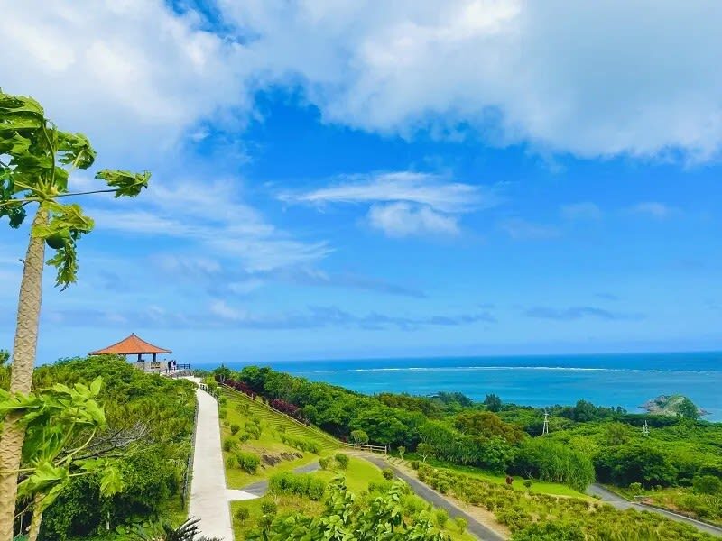 Okinawa Ishigaki Island Private Chartered Car Day Tour-Customized Itinerary - The driver can make a flexible day feel easier