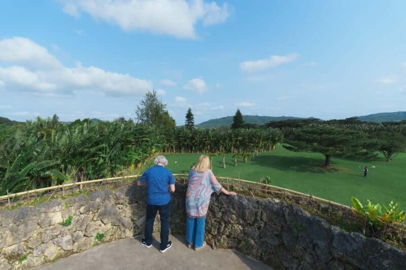 Okinawa Ishigaki Island Private Tour - Who Is This Tour Best Suited For?