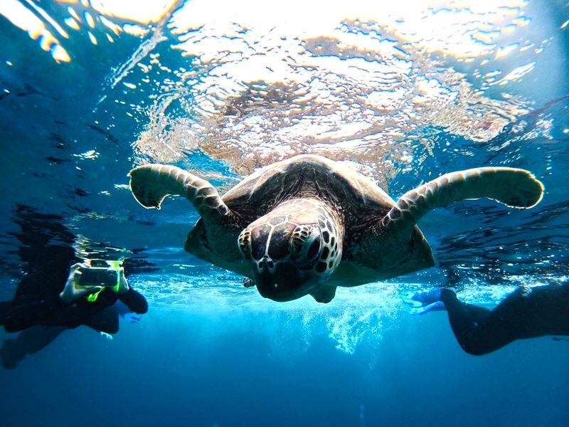 Okinawa Ishigaki Island & Taketomi Island: Choose from popular activities + Taketomi Island sightseeing - Should you book this Ishigaki and Taketomi package?