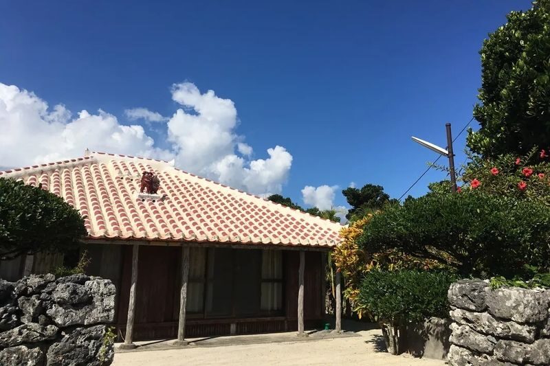 Okinawa Ishigaki Island Taketomi Island Water Buffalo Cart Sightseeing & Round-Trip Ferry Ticket - Ferry timing and port details worth knowing