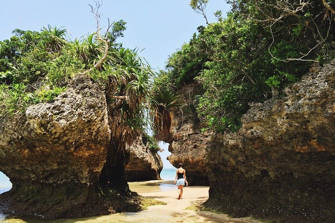 Okinawa Island Custom Full Day Tour - Customization Options and Itinerary