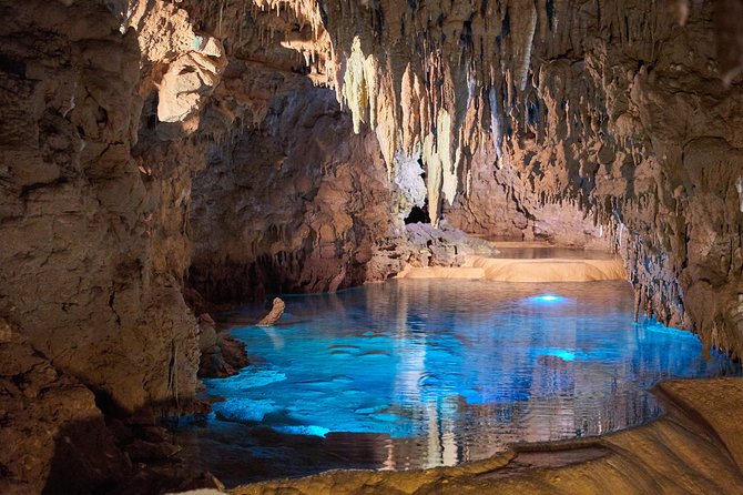 Okinawa Island Custom Full Day Tour - Contact Information and Terms