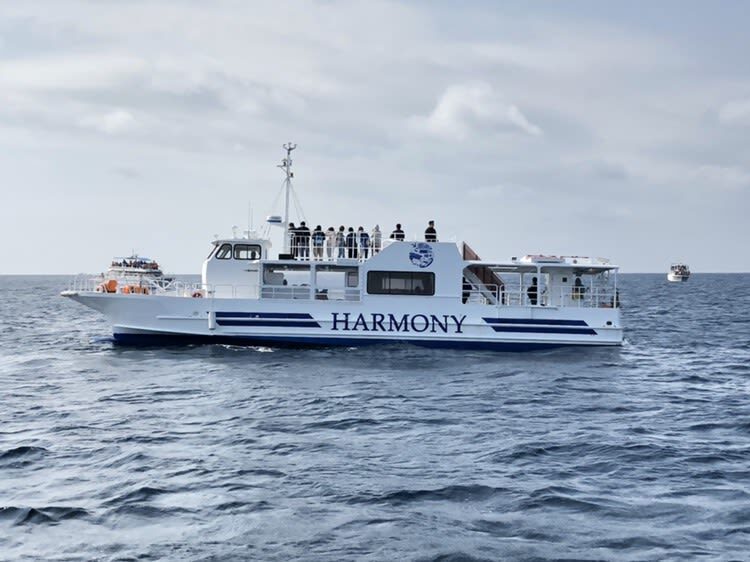 Okinawa Island Hopping: Cruise Boat to Zamami Island - Why the water makes the trip worthwhile
