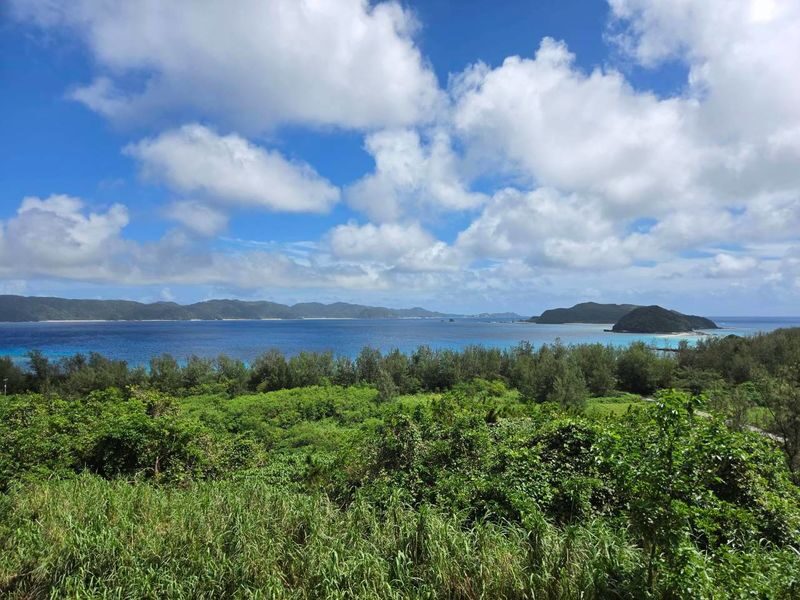 Okinawa Island Hopping: Cruise Boat to Zamami Island - The ride back and what can change