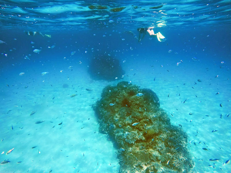 Okinawa Island Hopping: Kerama Tokashiki Snorkeling & Sea bathing - Choosing a snorkeling package