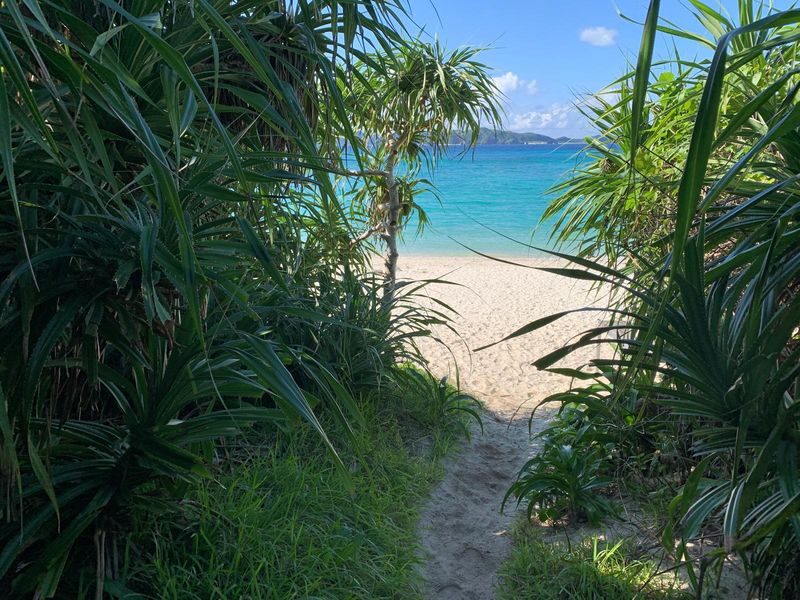 Okinawa Island Hopping: Kerama Tokashiki Snorkeling & Sea bathing - What can change on the day