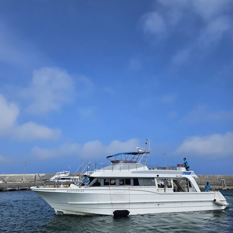 Okinawa Island Hopping: Kerama Tokashiki Snorkeling & Sea bathing - Pack for sun, sand and a wet return