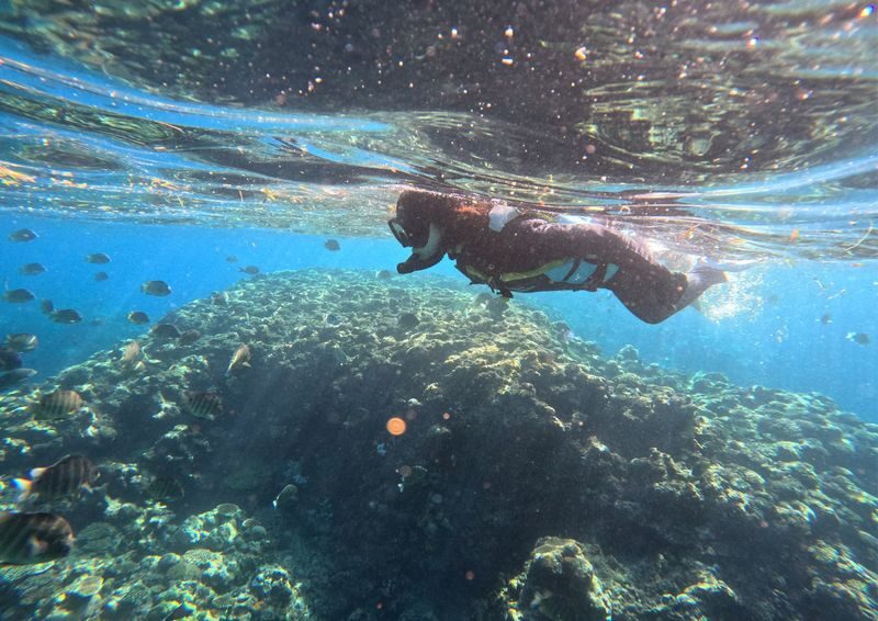 Okinawa Japan: Onna Village Maeda Blue Cave Tour (Snorkeling / Trial Diving) - What you may see underwater, and what may limit the view