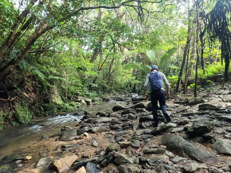 Okinawa: Jungle Trails & Waterfalls Native-English Private - Good To Know