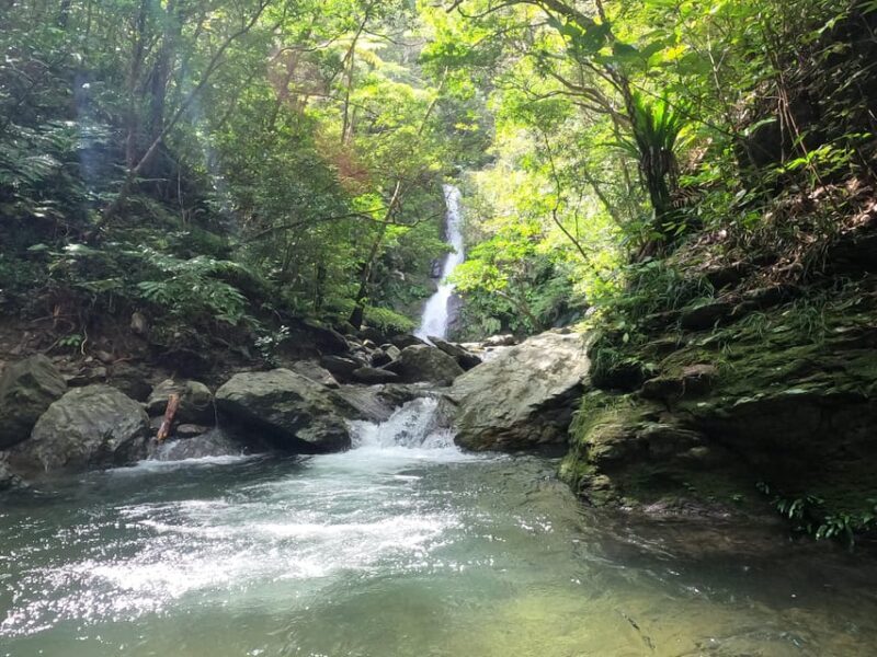 Okinawa: Jungle Trails & Waterfalls Native-English Private - Final Words