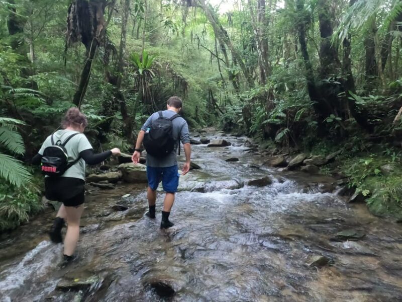 Okinawa: Jungle Trails & Waterfalls Native-English Private - The Sum Up