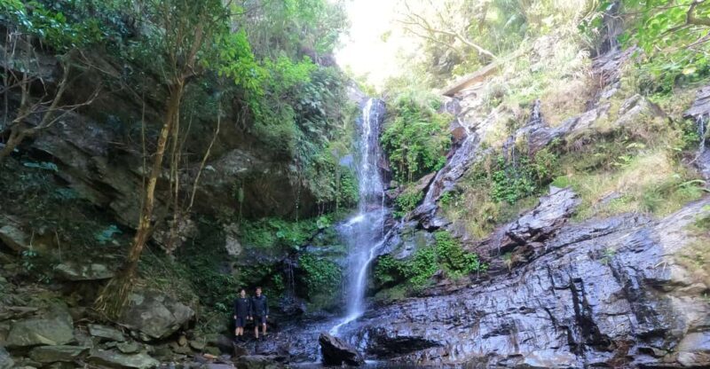 Okinawa: Jungle Trails & Waterfalls Native-English Private - FAQ