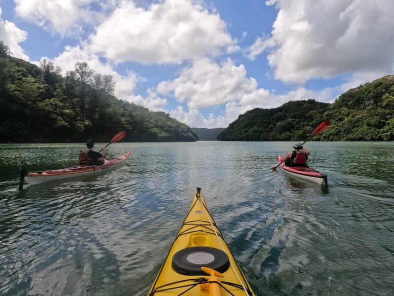 Okinawa: Kayak Mangroves & Ocean Native-English Private Tour - The Sum Up