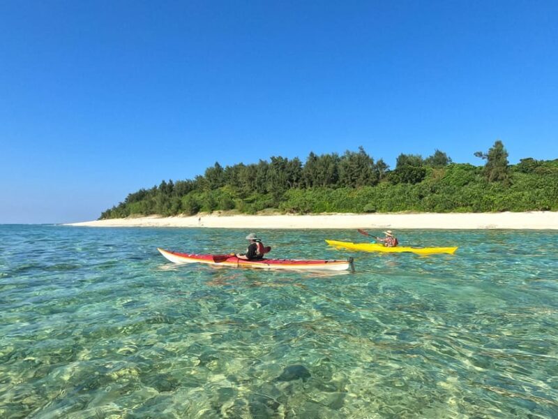 Okinawa: Kayak Mangroves & Ocean Native-English Private Tour - Good To Know  