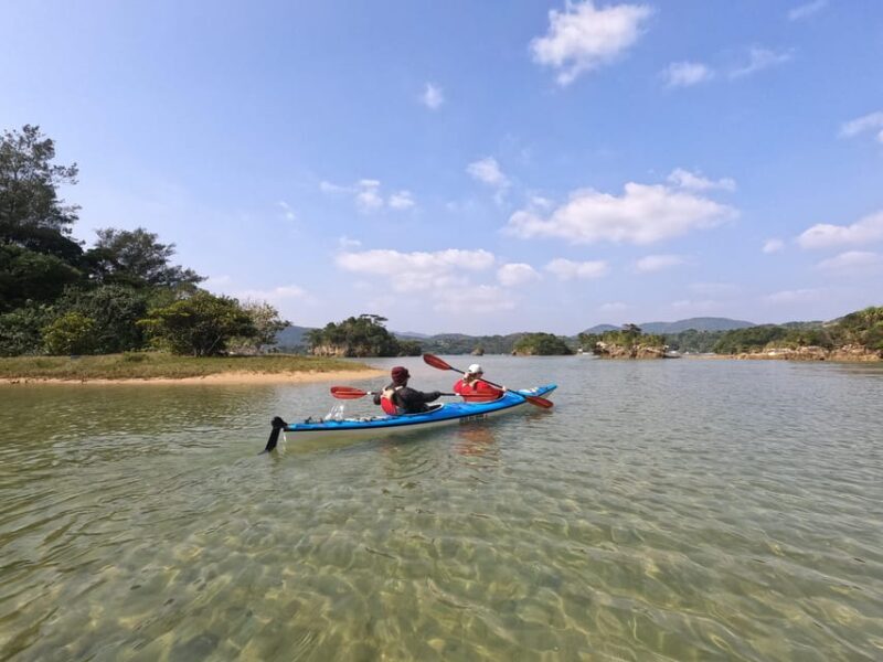 Okinawa: Kayak Mangroves & Ocean Native-English Private Tour - The Benefits of a Private Tour  