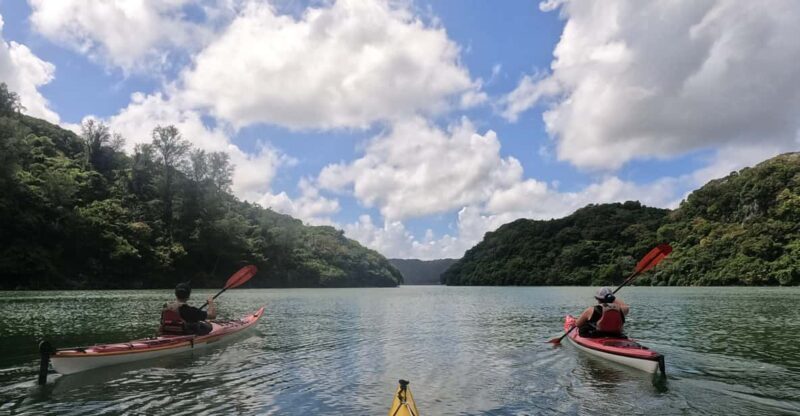 Okinawa: Kayak Mangroves & Ocean Native-English Private Tour - Value for Money  