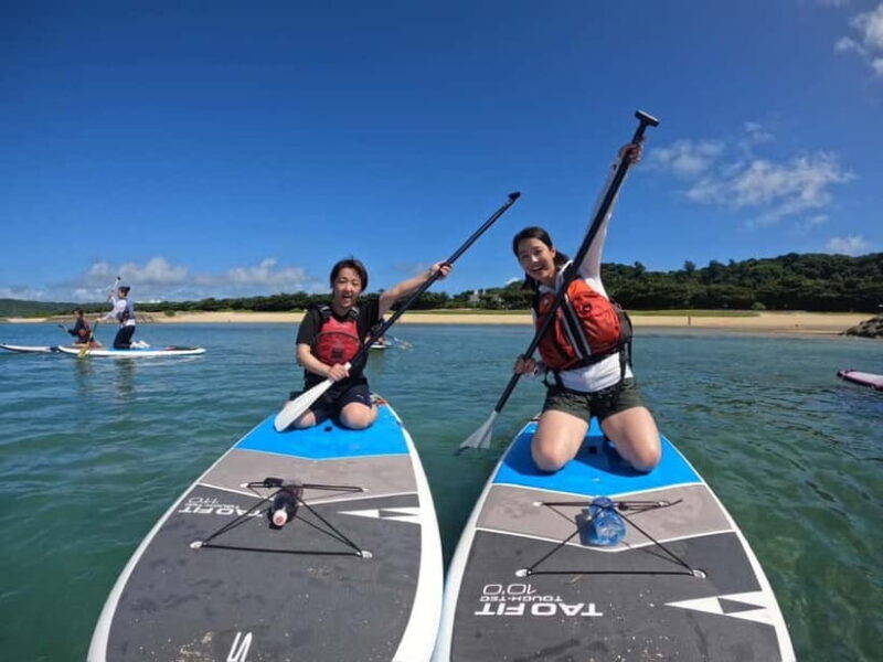 Okinawa: Kayak or SUP Tour to Hamahiga Island - Why This Tour Offers Good Value