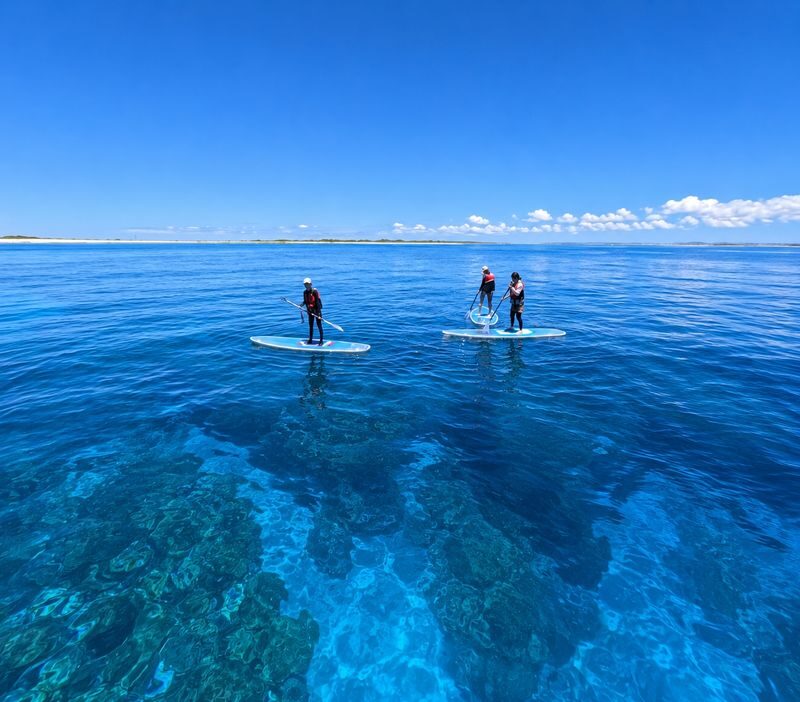 Okinawa Kerama Islands Snorkeling Day Trip (Free Pickup, Photography) Optional Shared Boat/Private Charter - What the price includes, and what it doesn’t