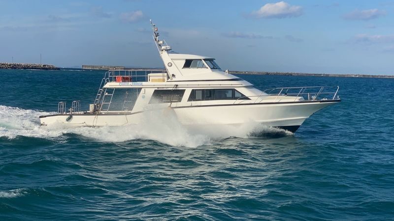 Okinawa Kerama Islands Snorkeling Day Trip (Free Pickup, Photography) Optional Shared Boat/Private Charter - Should you book this Kerama snorkeling trip?