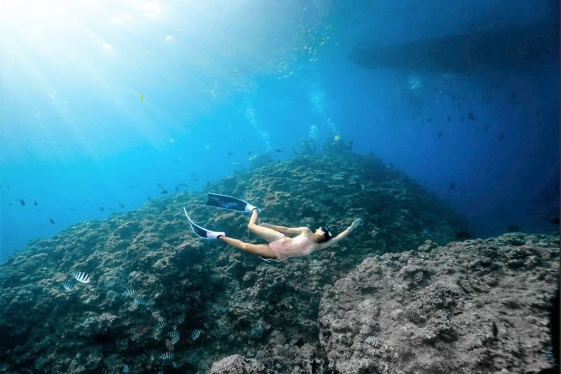 Okinawa Kerama Islands Snorkeling & Freediving with Naha Pickup - Kerama’s clear water is worth the early start
