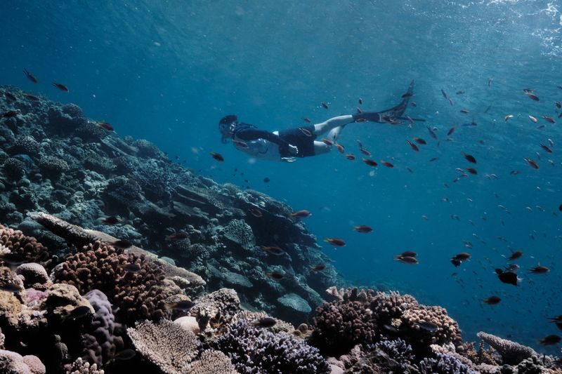 Okinawa Kerama Islands Snorkeling & Freediving with Naha Pickup - Two morning stops, then lunch afloat