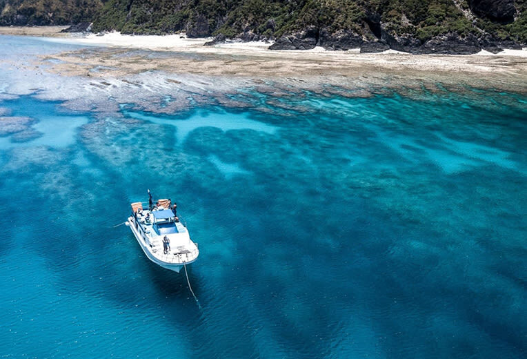 Okinawa Kerama Islands Snorkeling & Freediving with Naha Pickup - A small group, with a shared schedule