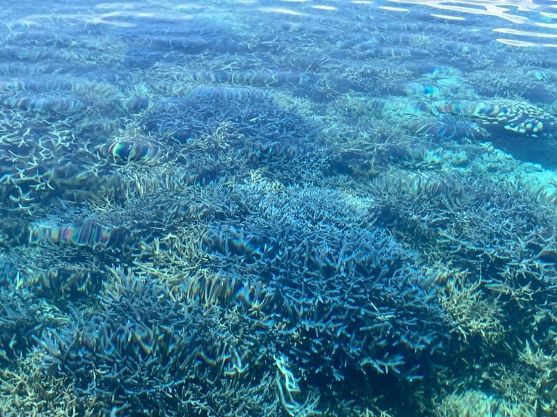 Okinawa Kume Island Full-Day Boat Tour with Hatenohama Beach - Getting to the beach by boat