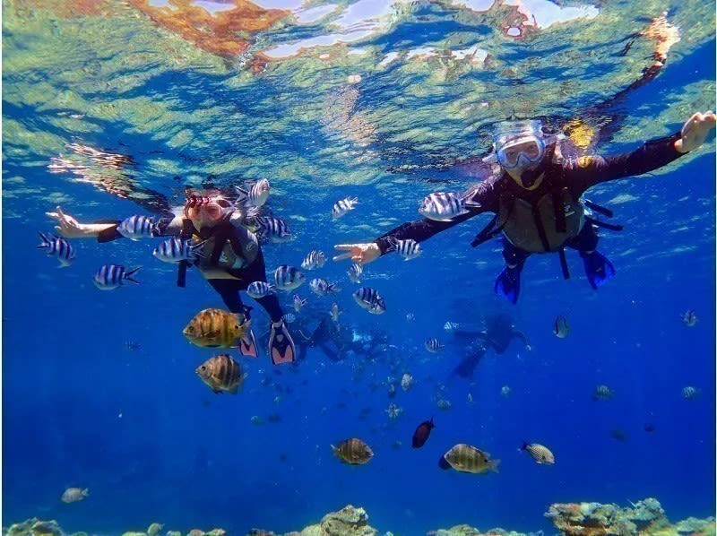Okinawa Kume Island Full-Day Boat Tour with Hatenohama Beach - The staff and the human side of the day