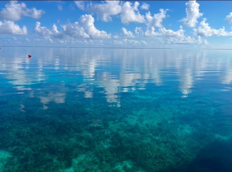 Okinawa Kume Island Full-Day Boat Tour with Hatenohama Beach - Is $98.39 good value?