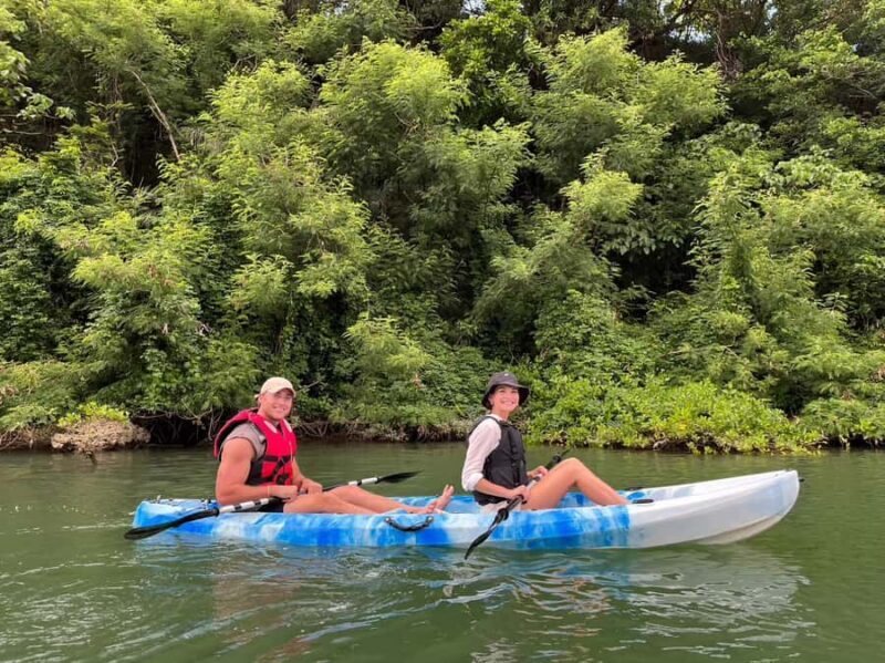Okinawa: Mangrove Kayak Tour with Guide - An In-Depth Look at the Okinawa Mangrove Kayak Tour