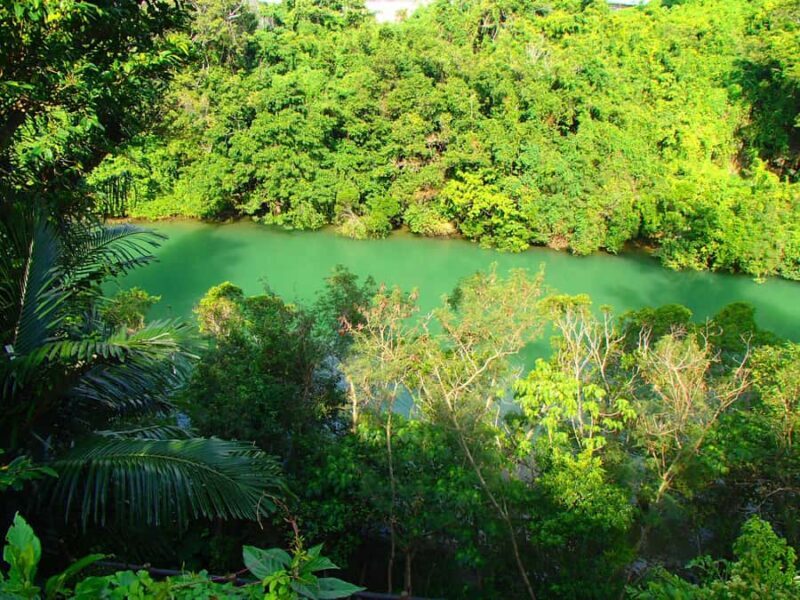 Okinawa: Mangrove Kayak Tour with Guide - Good To Know