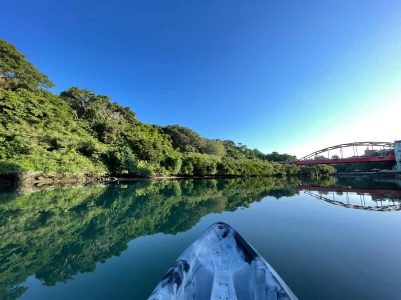 Okinawa: Mangrove Kayak Tour with Guide - What Makes This Tour Stand Out
