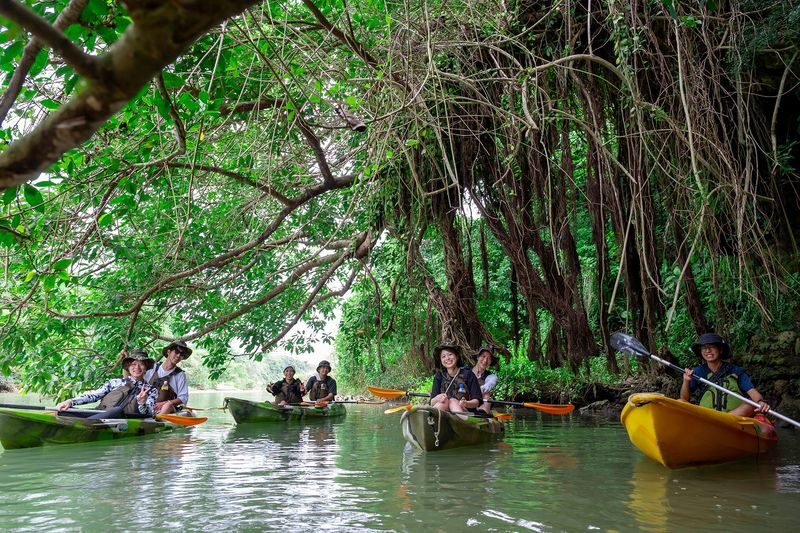 Okinawa Mangrove Kayak Tour with Photo Gift - Hija River Kayaking: The Key Points