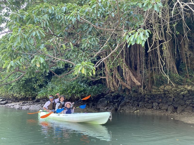 Okinawa Mangrove Kayak Tour with Photo Gift - Getting Wet, Staying Comfortable