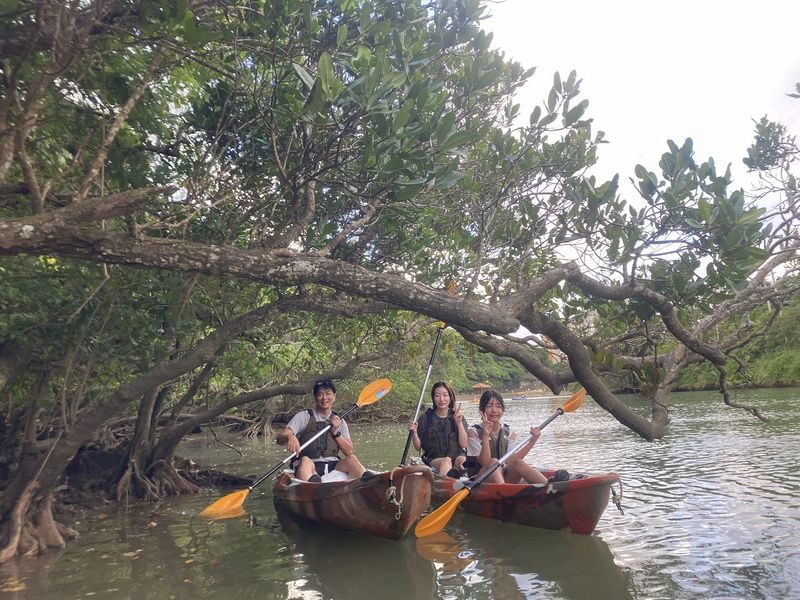 Okinawa Mangrove Kayak Tour with Photo Gift - Is the Price Worth It?