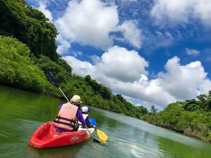 Okinawa: Mangrove Kayaking Tour - Activity Details