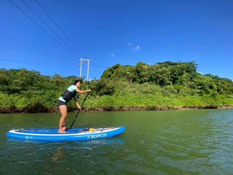 Okinawa: Mangrove SUP Tour with Photos - Good To Know