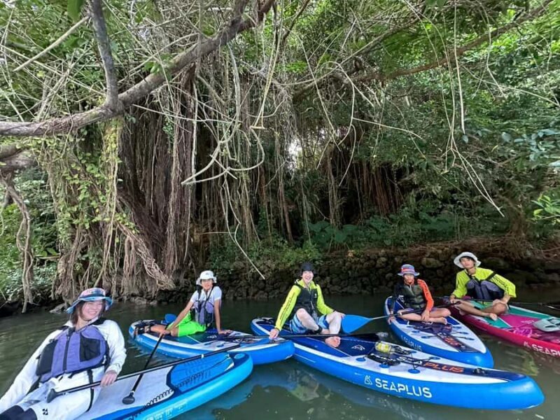 Okinawa: Mangrove SUP Tour with Photos - Detailed Breakdown of the Experience