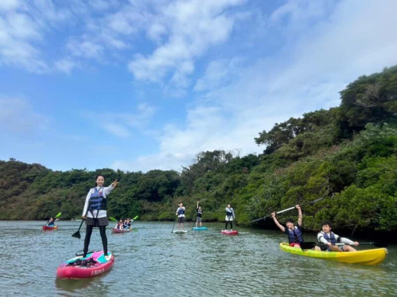 Okinawa: Mangrove SUP Tour with Photos - Who Should Consider This Tour?