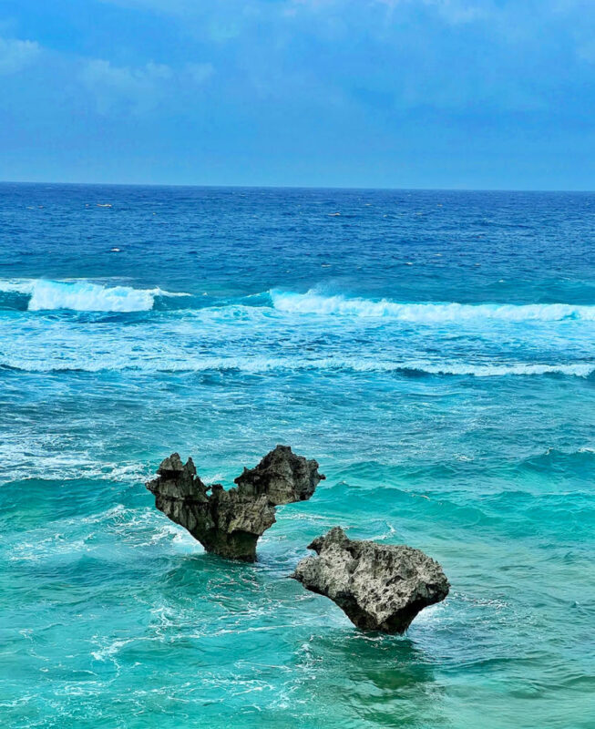 Okinawa Manza-mo, Kouri Island, and Churaumi Aquarium Day Trip | Includes Special Shrimp and Rice Lunch - The Guide and the Okinawan Context